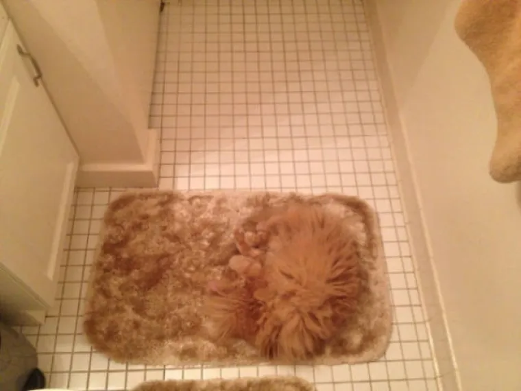 SVAKODNEVICA JE PUNA SITUACIJA OPASNIH PO ŽIVOT: Naučili na težak način da nezgoda čeka iza svakog ugla