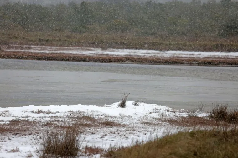 Niske temperature u kombinaciji s jakom orkanskom burom zaledile more u Tisnom