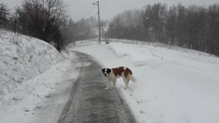 Medvedski breg Zagreb