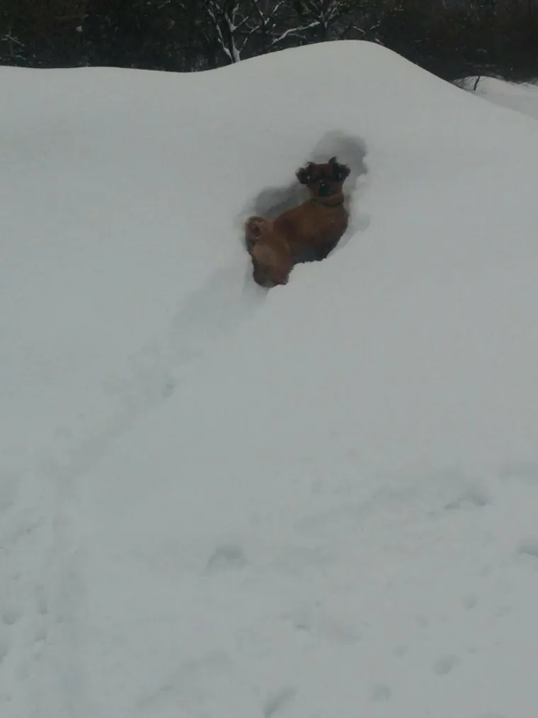 Tražili smo vas fotke 'apokaliptične' zime, odu&scaron;evili ste nas prizorima!