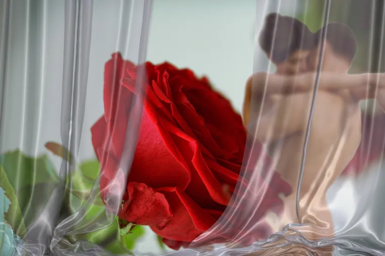 Pet razloga za&scaron;to biste se ba&scaron; danas trebali seksati - ako pitate svoje srce