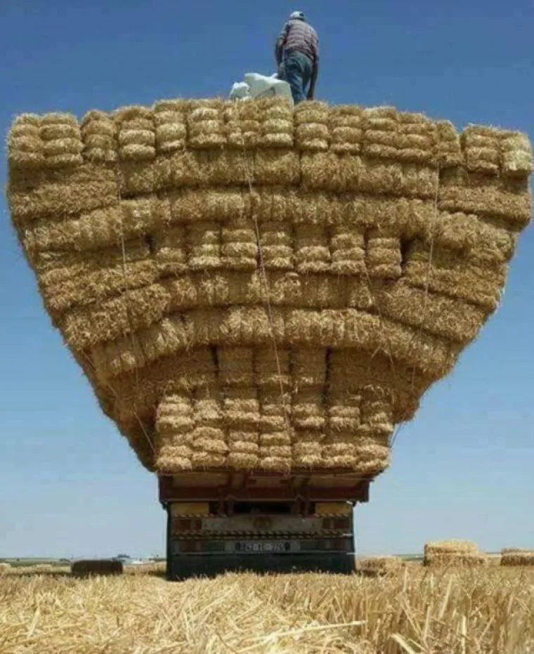 TKO JE NJIMA DAO VOZAČKU DOZVOLU? Od njihovih akrobacija u prometu boli glava, ne želite se voziti iza njih