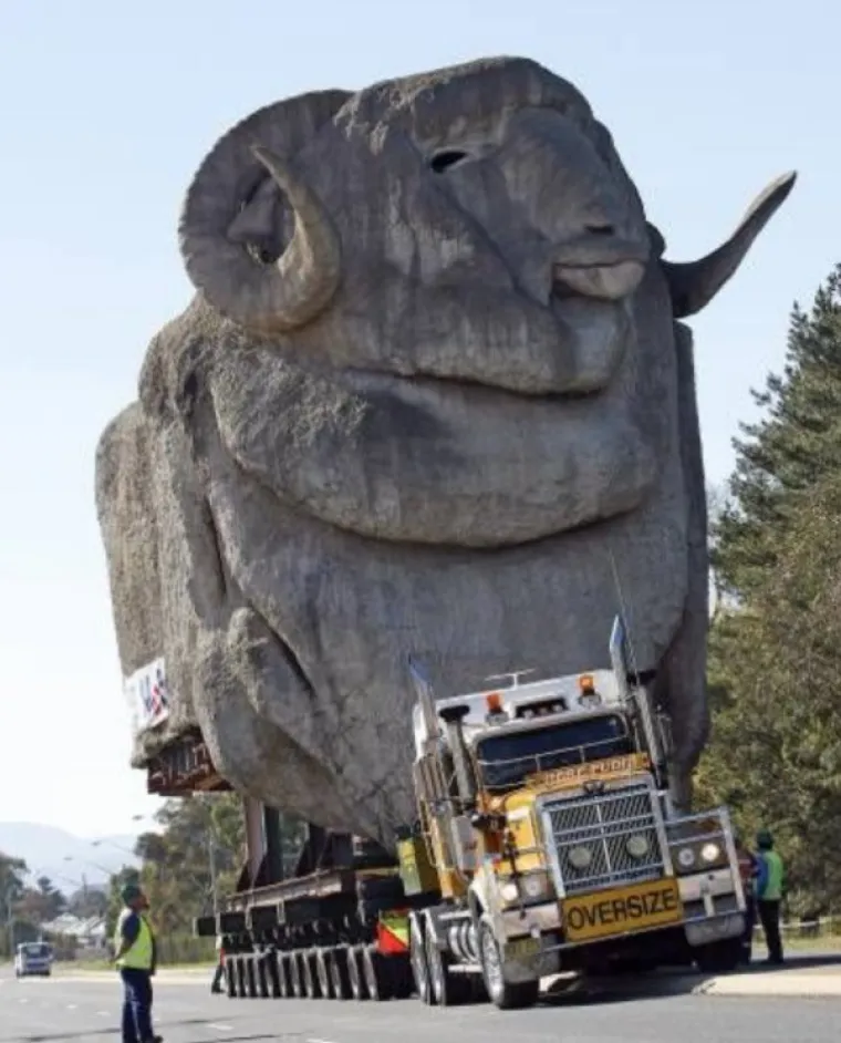 TKO JE NJIMA DAO VOZAČKU DOZVOLU? Od njihovih akrobacija u prometu boli glava, ne želite se voziti iza njih