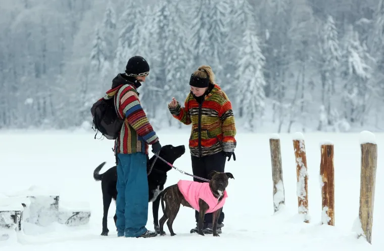 SPEKTAKULARAN PRIZOR ZALEĐENIH PLITVIČKIH JEZERA ODU&Scaron;EVIO TURISTE: Ovako izgleda prava zimska idila...