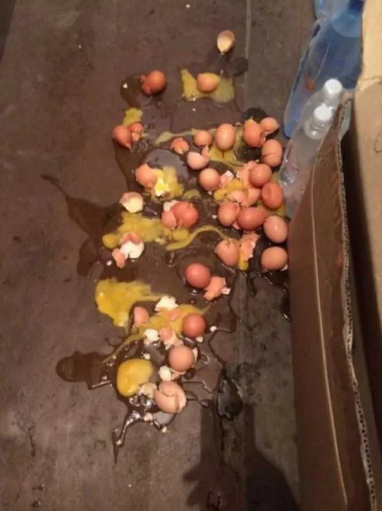 NAVODNO SVI LJUDI MOGU NAUČITI KUHATI, KOJI JE ONDA NJIHOV PROBLEM? Imaju velikih problema, pogledajte &scaron;to izvode