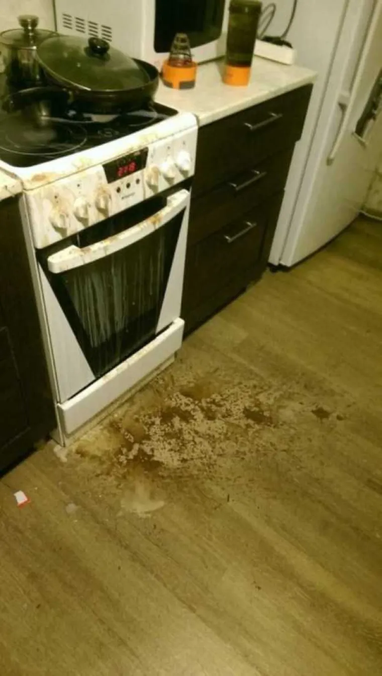 NAVODNO SVI LJUDI MOGU NAUČITI KUHATI, KOJI JE ONDA NJIHOV PROBLEM? Imaju velikih problema, pogledajte &scaron;to izvode