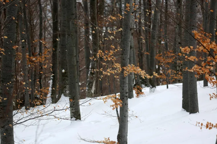 Photo: Borna Filic/PIXSELL