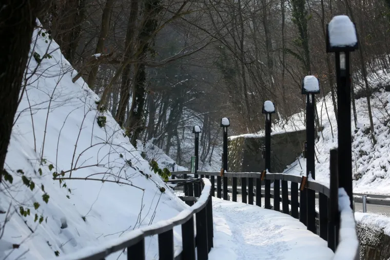 Photo: Borna Filic/PIXSELL