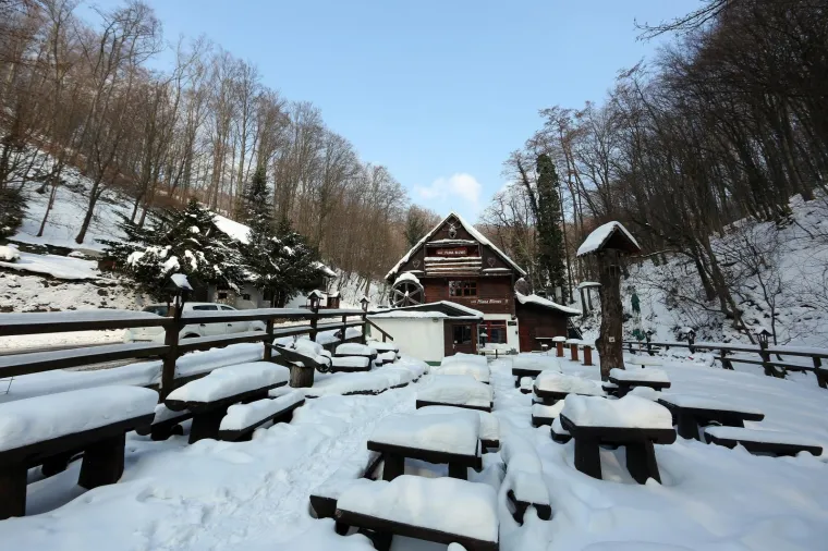 Photo: Borna Filic/PIXSELL