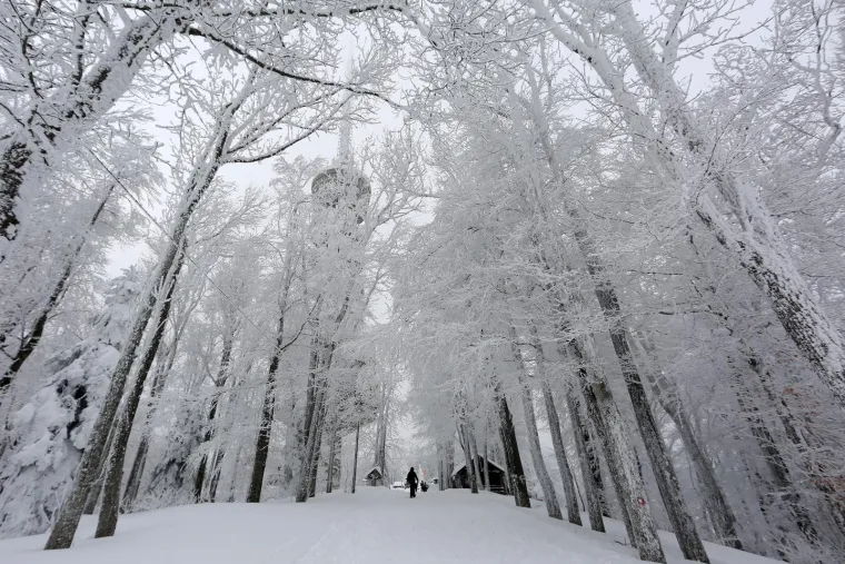 28.02.2018., Sljeme - Zimska idila u parku prirode Medvednica.
Photo: Borna Filic/PIXSELL