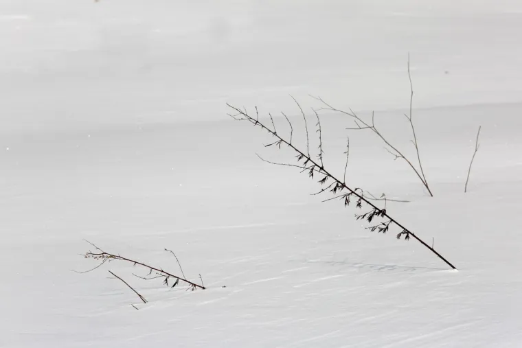 28.02.2018., Sljeme - Zimska idila u parku prirode Medvednica.
Photo: Borna Filic/PIXSELL