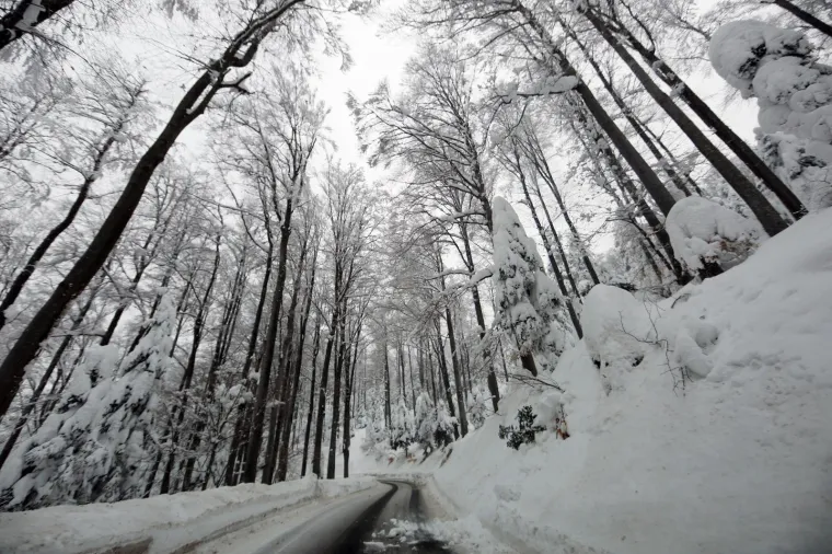 28.02.2018., Sljeme - Zimska idila u parku prirode Medvednica.
Photo: Borna Filic/PIXSELL