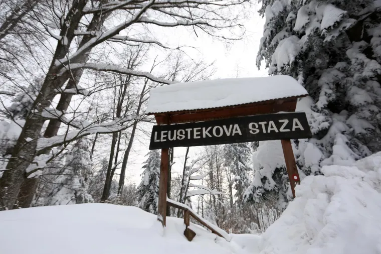 28.02.2018., Sljeme - Zimska idila u parku prirode Medvednica.
Photo: Borna Filic/PIXSELL