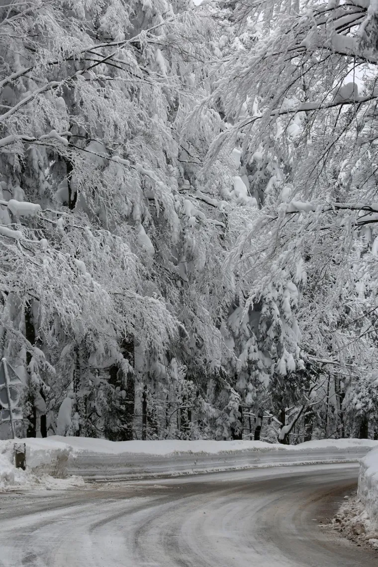 28.02.2018., Sljeme - Zimska idila u parku prirode Medvednica.
Photo: Borna Filic/PIXSELL