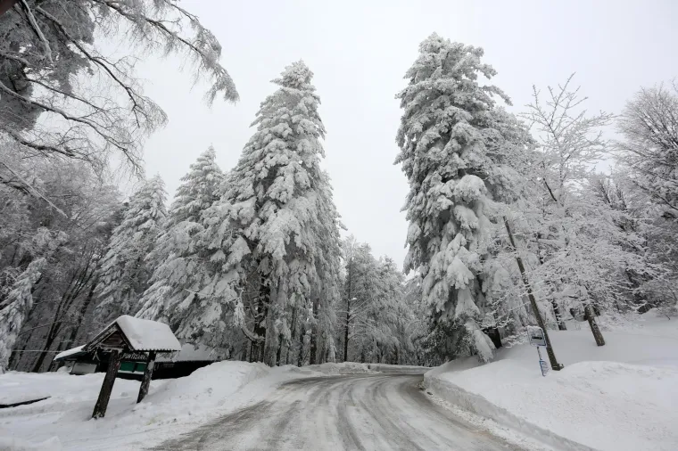 28.02.2018., Sljeme - Zimska idila u parku prirode Medvednica.
Photo: Borna Filic/PIXSELL