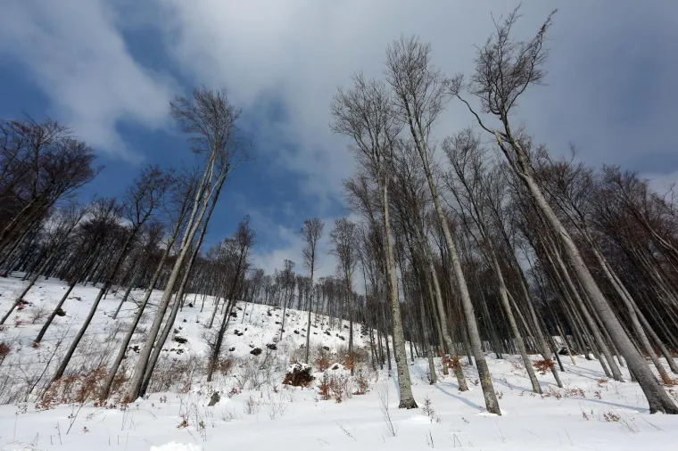 28.02.2018., Sljeme - Zimska idila u Parku prirode Medvednica.
Photo: Borna Filic/PIXSELL