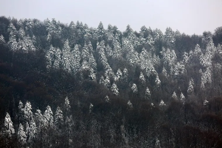 28.02.2018., Sljeme - Zimska idila u Parku prirode Medvednica.
Photo: Borna Filic/PIXSELL