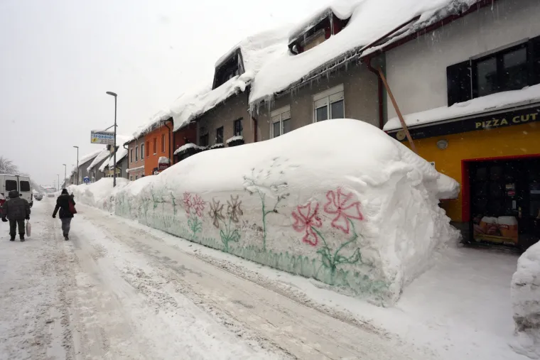 Proljeće na snijegu: nacrtala cvijeće bojom u spreju pred svojom kućom na zidu od snježnog pokrivača