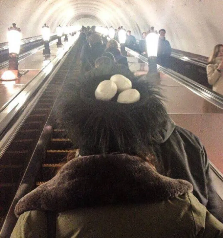 FOTKE IZ GALERIJE MOGU OBJASNITI SAMO ONI POSEBNI: Provjerite imate li 'ono ne&scaron;to' i poku&scaron;ajte ih odgonetnuti