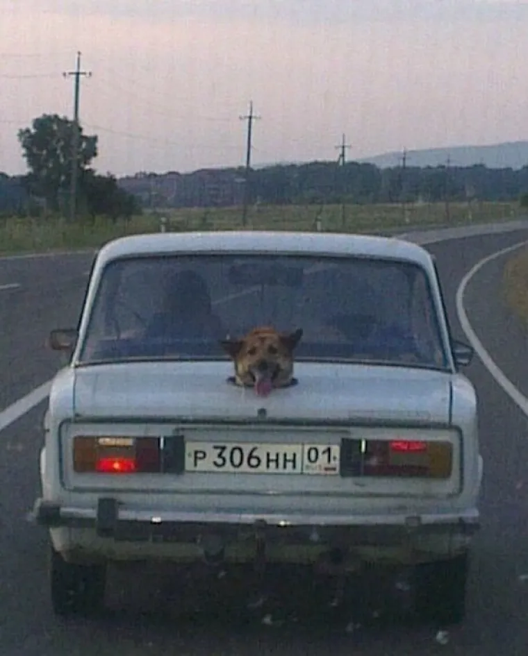 RUSI POSTAVILI NOVU GRANICU NAKARADNOSTI: Ono &scaron;to objavljuju na Facebooku ne bi trebalo vidjeti svjetlo dana