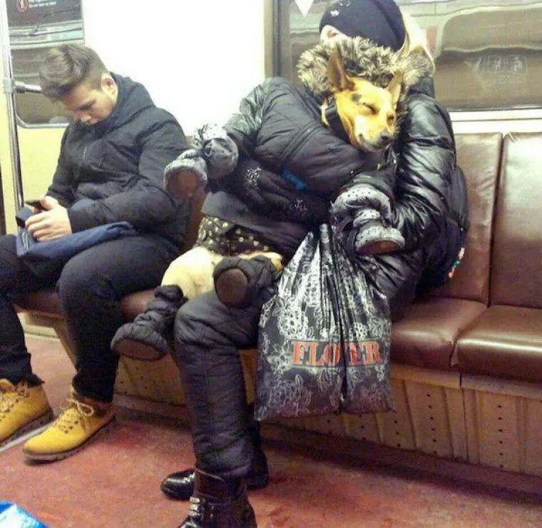 RUSI POSTAVILI NOVU GRANICU NAKARADNOSTI: Ono &scaron;to objavljuju na Facebooku ne bi trebalo vidjeti svjetlo dana