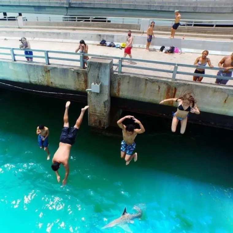 SAMO NAJHRABRIJI MOGU POGLEDATI GALERIJU DO KRAJA: Svijet je pun zastra&scaron;ujućih prizora, možete li se nositi s njima?