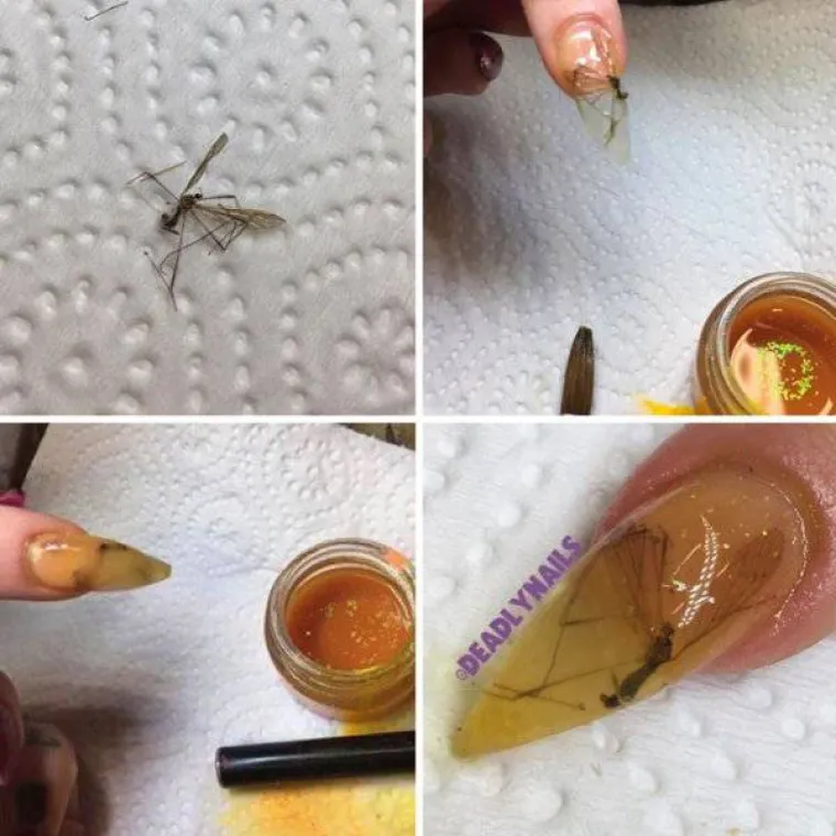 SAMO NAJHRABRIJI MOGU POGLEDATI GALERIJU DO KRAJA: Svijet je pun zastra&scaron;ujućih prizora, možete li se nositi s njima?