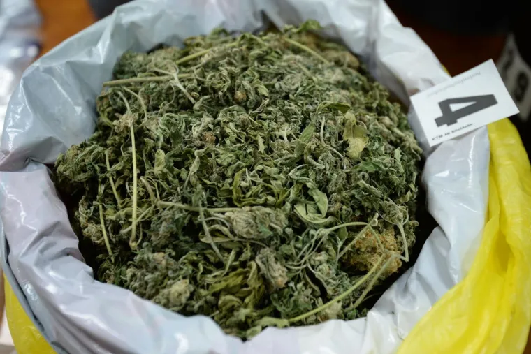 Razbijen lanac proizvođača marihuane u Strahonincu i Čakovcu