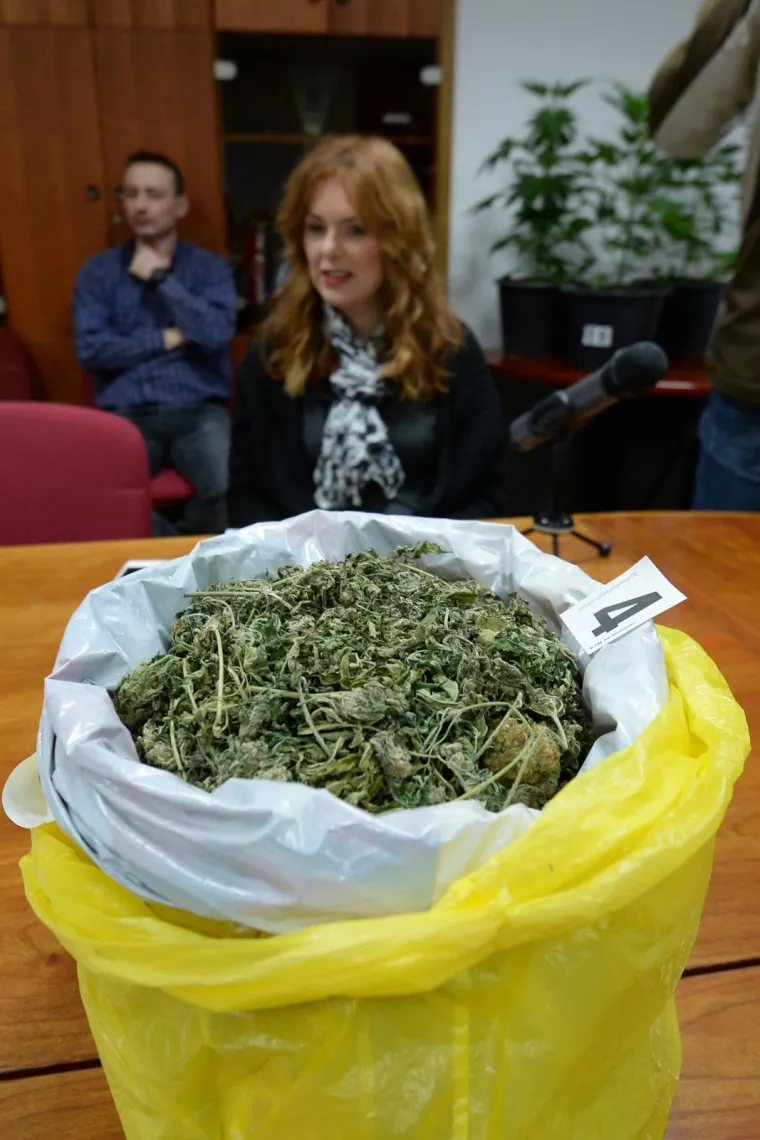 Razbijen lanac proizvođača marihuane u Strahonincu i Čakovcu