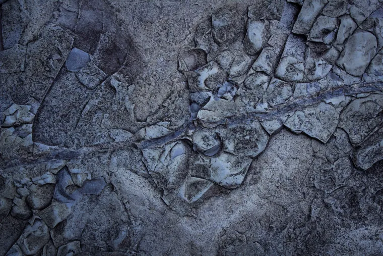 'Čarobne gljive': sve &scaron;to želite  znati o njima (a ne želite pitati)