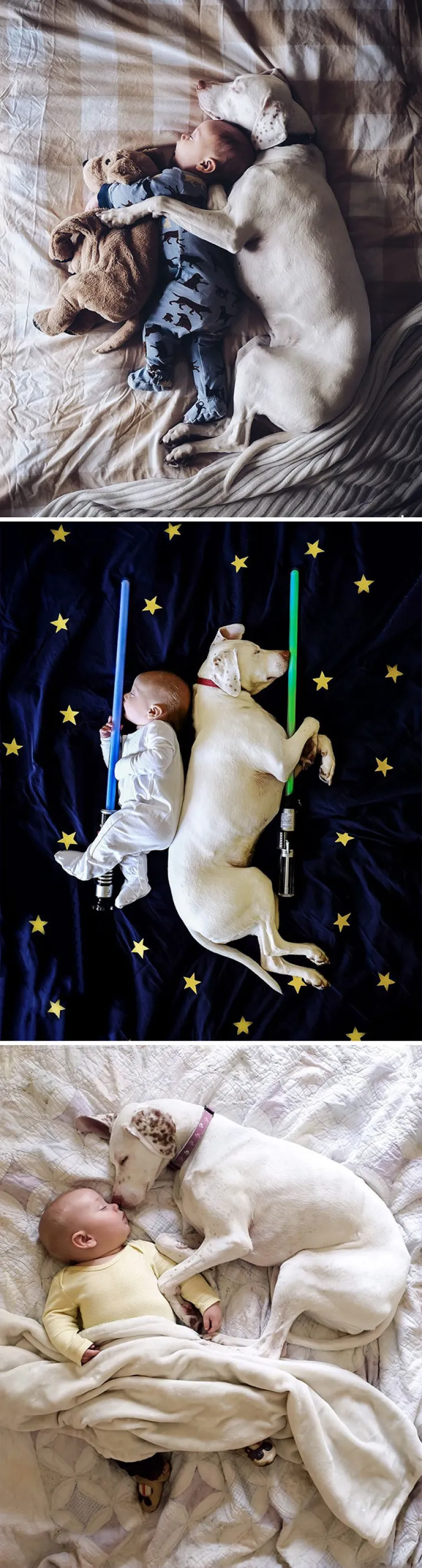 SUŽIVOT DJECE I PASA JE NAJSLAĐA STVAR KOJU ĆETE DANAS VIDJETI: Ako vam dijete želi psa, ispunite mu želju