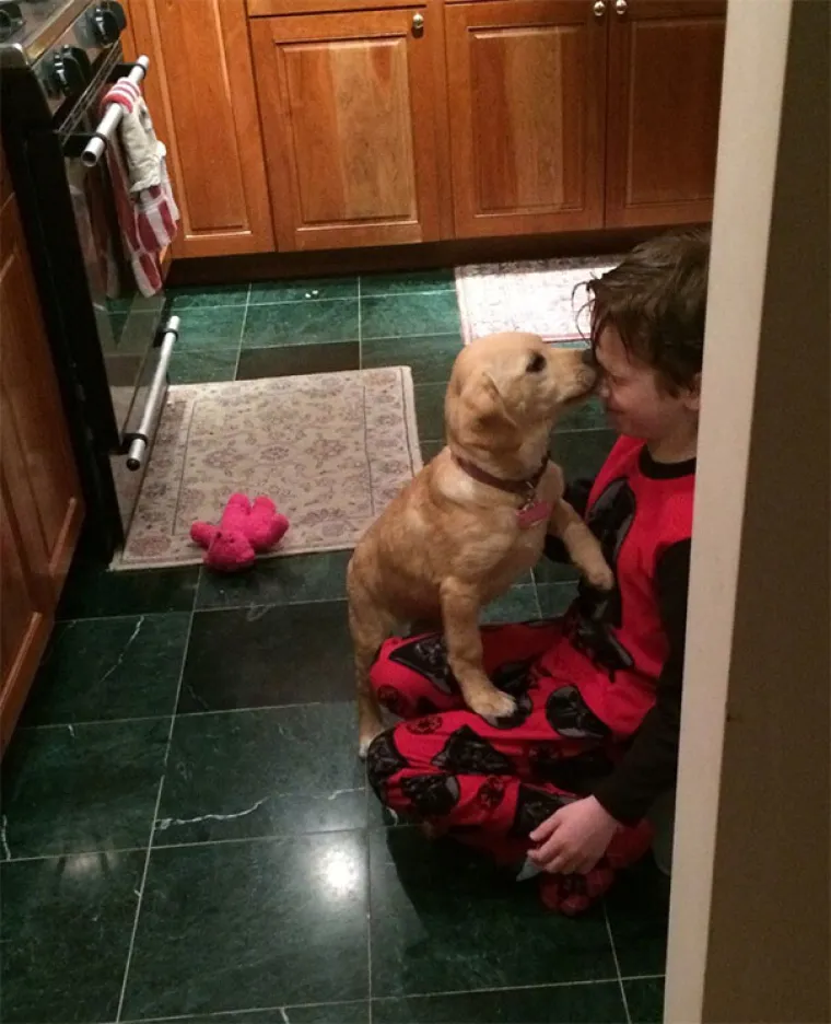 SUŽIVOT DJECE I PASA JE NAJSLAĐA STVAR KOJU ĆETE DANAS VIDJETI: Ako vam dijete želi psa, ispunite mu želju