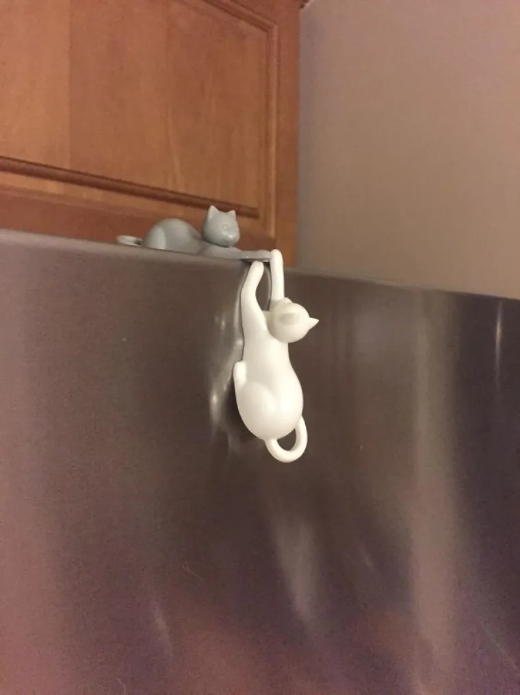 Muž se opet igrao s magnetima....