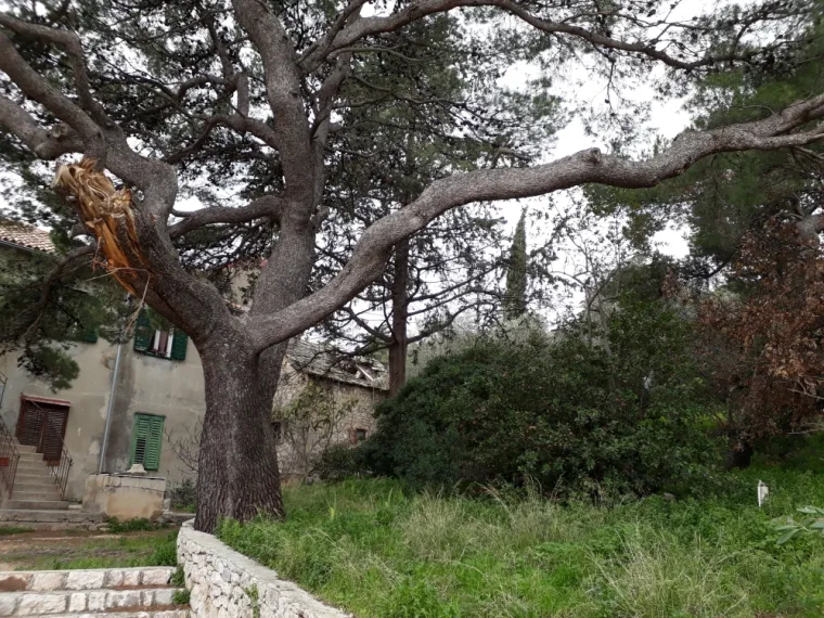 Pogledajte kako izgleda najpoznatiji splitski kvart pred turističku sezonu: smeće i divlja gradnja razljutili građane