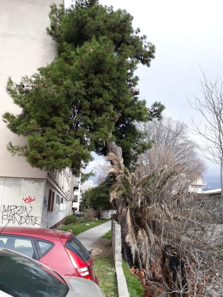 Pogledajte kako izgleda najpoznatiji splitski kvart pred turističku sezonu: smeće i divlja gradnja razljutili građane