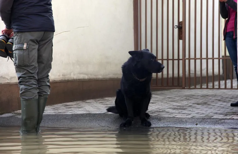 POPLAVA U HRVATSKOJ KOSTAJNICI: Una poplavila ulice i kuće
