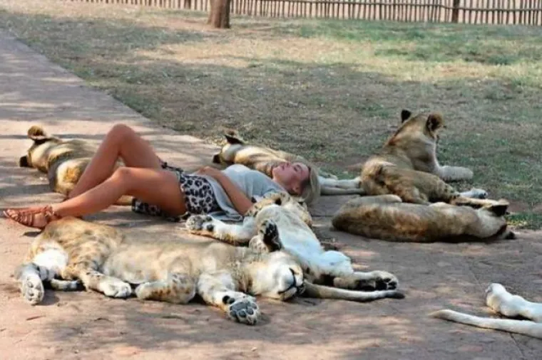 MOŽETE LI PRONAĆI ULJEZA NA SVIM PRIZORIMA? 'Crne ovce' ponekad se jako dobro uklapaju u okolinu, pokušajte ih pronaći