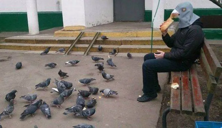 MOŽETE LI PRONAĆI ULJEZA NA SVIM PRIZORIMA? 'Crne ovce' ponekad se jako dobro uklapaju u okolinu, poku&scaron;ajte ih pronaći