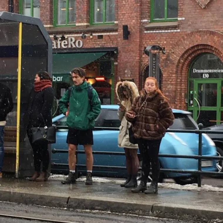MOŽETE LI PRONAĆI ULJEZA NA SVIM PRIZORIMA? 'Crne ovce' ponekad se jako dobro uklapaju u okolinu, poku&scaron;ajte ih pronaći
