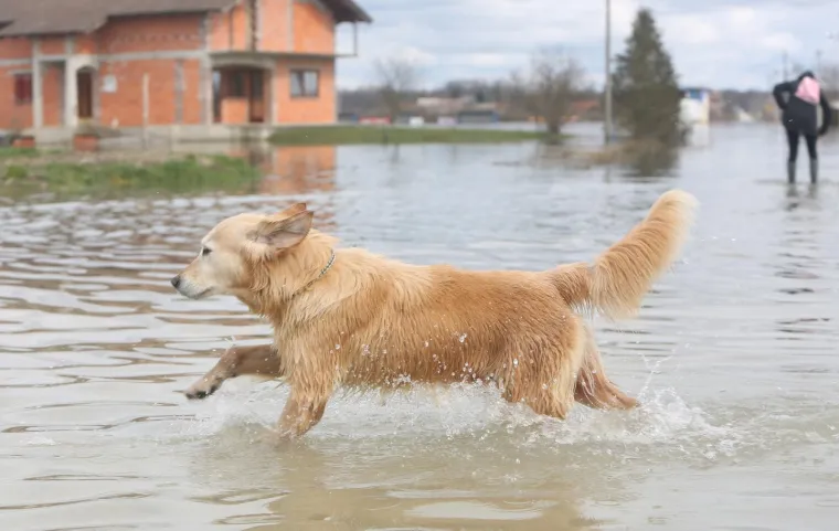 Zbog visokog vodostaja Kupe u Karlovcu mje&scaron;tani prometuju čamcima