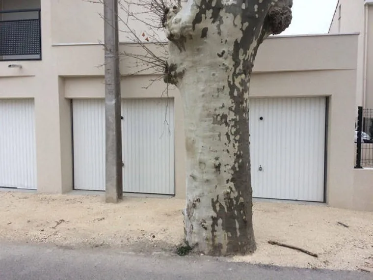 MAJSTORSKI POPRAVCI OD KOJIH BOLI GLAVA: Otvorili im svoja vrata i tad je počela njihova noćna mora