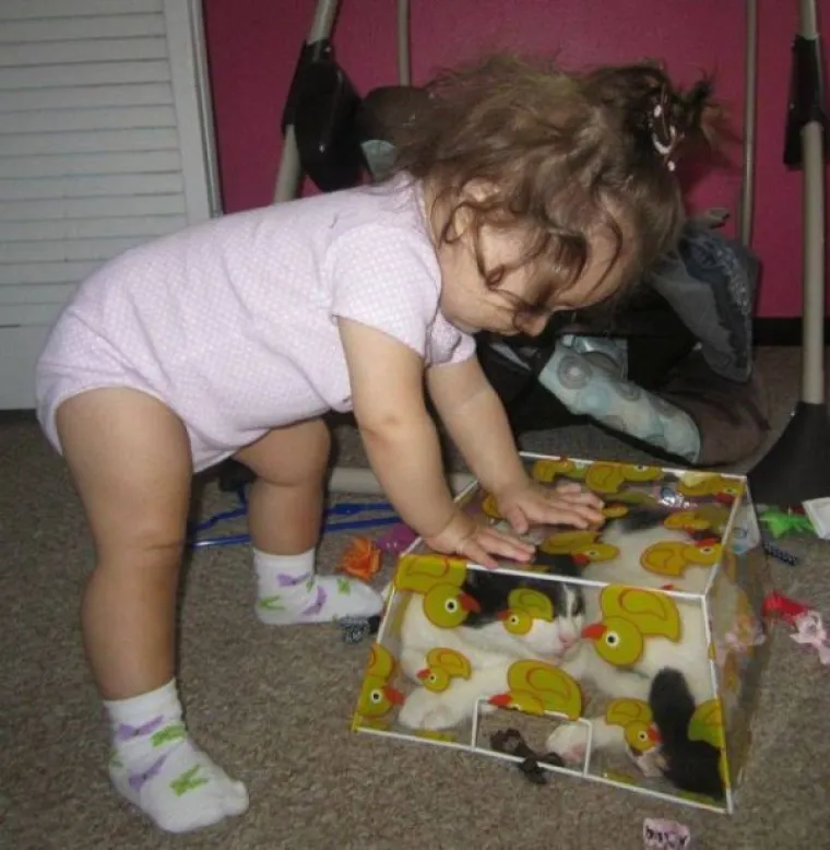 KAŽU DA SU DJECA NAJVEĆE BLAGO, POTRAŽILI SMO DRUGO MIŠLJENJE: Slike s društvenih mreža govore same za sebe