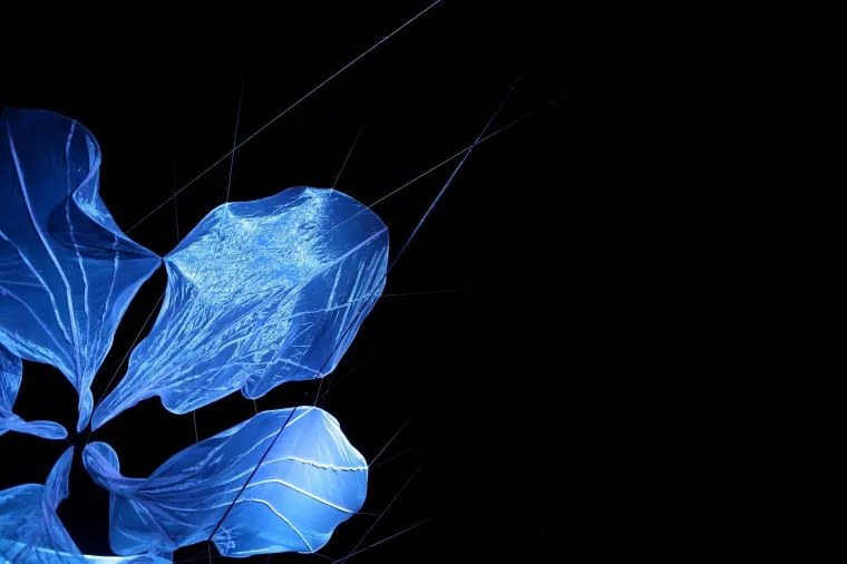 Svjetlosna instalacija "Gornjogradski cvijet" na platou Gradec.