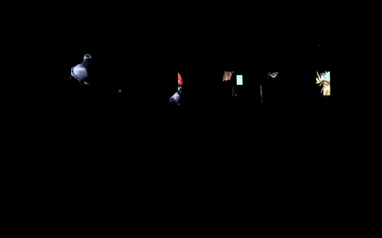 FESTIVAL SVJETLA U ZAGREBU: Pogledajte atraktivne svjetlosne instalacije i projekcije inspirirane proljećem