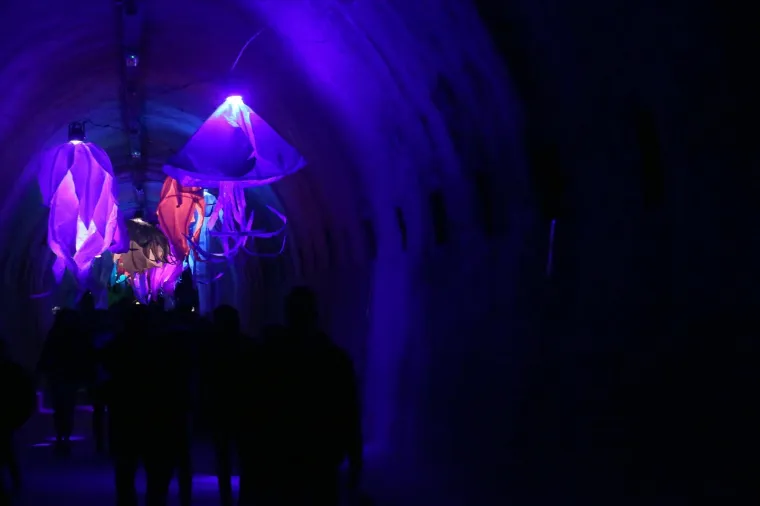 FESTIVAL SVJETLA U ZAGREBU: Pogledajte atraktivne svjetlosne instalacije i projekcije inspirirane proljećem