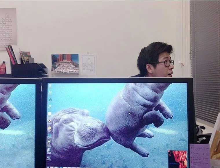 DESKTOP POSTAJE NOVA UMJETNOST: Uz malo ma&scaron;te, i najgori je posao lak&scaron;i