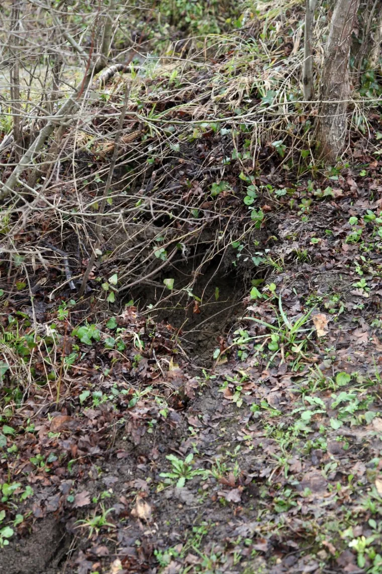 DRAMA KOD PETRINJE, OTVORILO SE NOVO KLIZI&Scaron;TE: Usred noći popucala zemlja, stanovnici u strahu