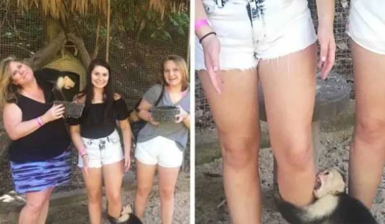 DA SU USLIKALI SEKUNDU KASNIJE, VJEROJATNO BI PROPUSTILI NAJBOLJI DIO: Dobar tajming je ključ uspjeha