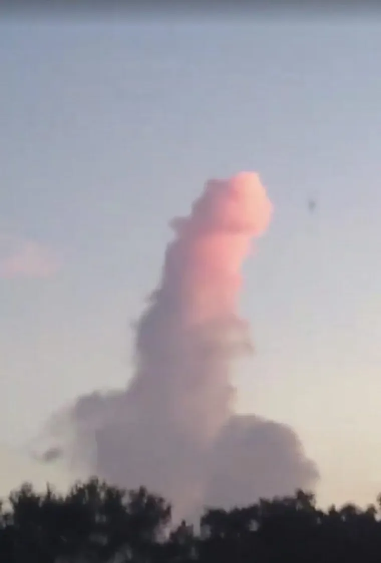 U galeriji možete na vrlo jednostavan način provjeriti koliko vam je prljav um. Ako na fotografijama kojim slučajem ugledate penis, vjerojatno ste posve normalna osoba jer je na prizorima nemoguće odoljeti aluzijama. U čemu sve prljavi um može ugledati ono čega tamo nema, provjerite u nastavku.