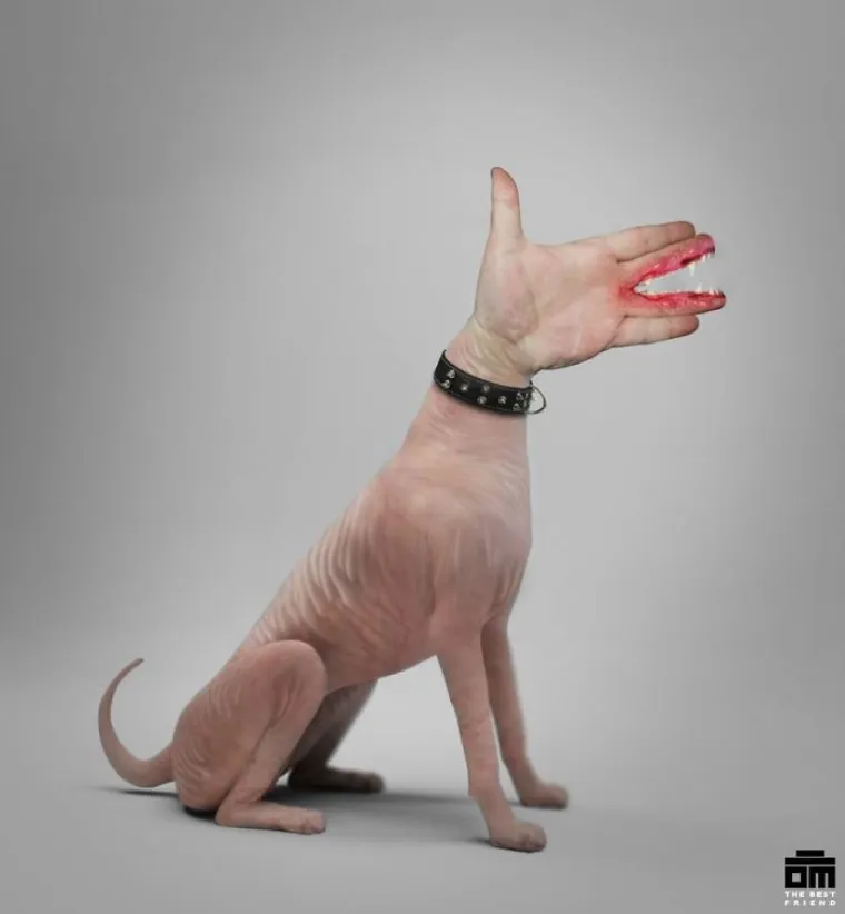 UZNEMIRUJUĆA REMEKDJELA: Nadrealne slike makedonskog umjetnika od kojih će vam se koža naježiti